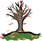 apple  tree animation