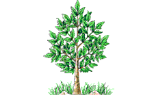 tree and yellow birds  animation