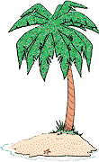 palm tree  animation