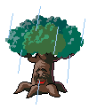 tree and rain  animation