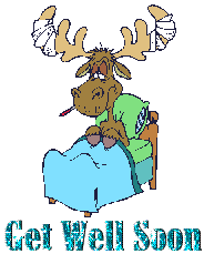 moose in bed ill  animation